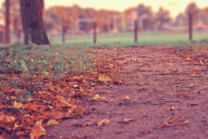 fall path